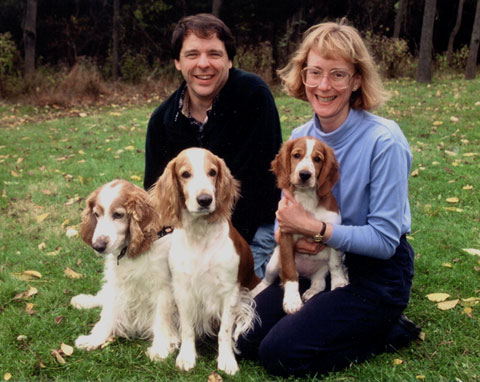 Lemon Spring Spaniel Didn't know you could get lemon and white springer spaniels