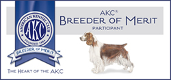 AKC Breeder of Merit