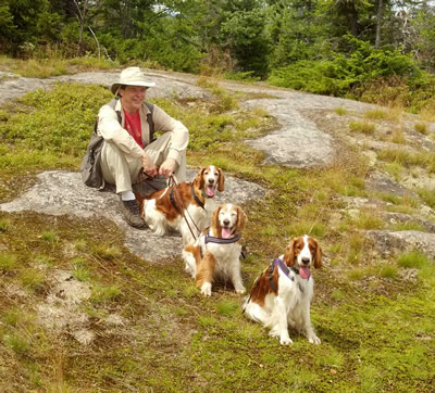 hiking with dogs